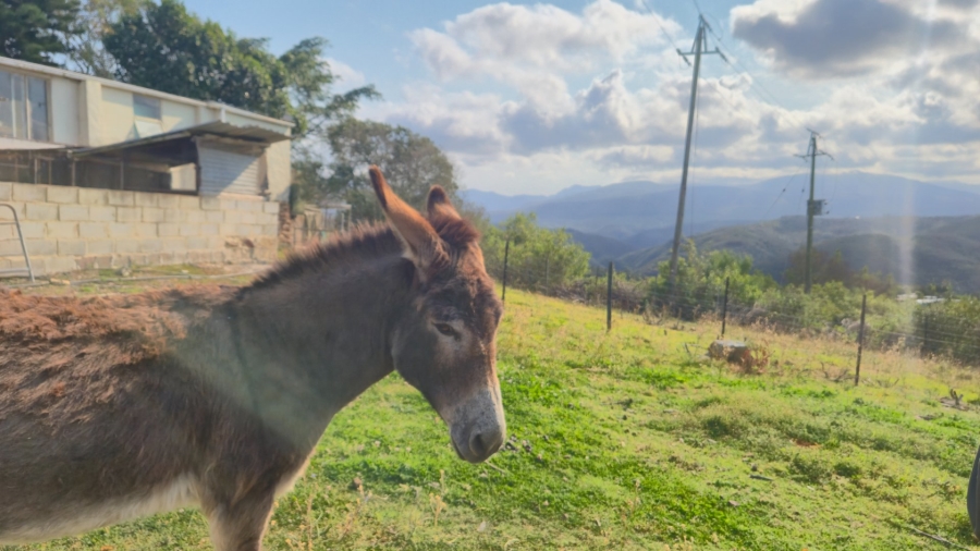 Commercial Property for Sale in Mossel Bay Rural Western Cape